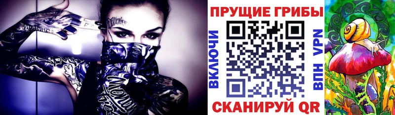 Псилоцибиновые грибы Magic Shrooms  сколько стоит  Починок 