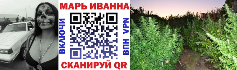 Конопля сатива Починок